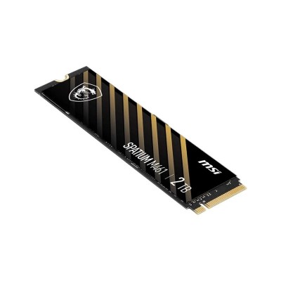 MSI SSD M461 2Tb PCIe 40 NVMe 5000 Mb s
