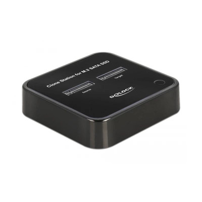 Delock M2 Estacion de acoplamiento para 2 x M2 S