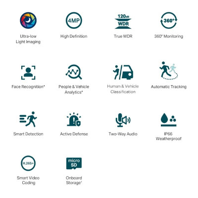 VIGI Camara IP PT C540S 4MP Plastico Full Color 4m