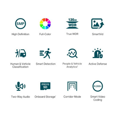 VIGI Camara IP Turret C450 5MP Plastico Full Color